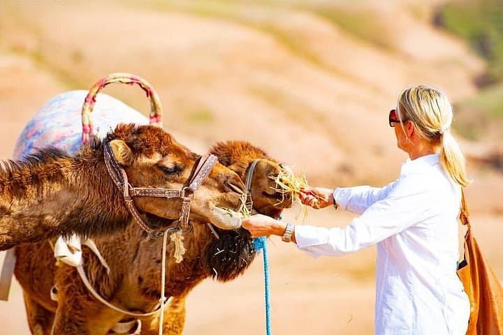 Luxury Day Trip to Agafay Desert & Atlas Mountains with Camel Ride from Marrakech photo 2
