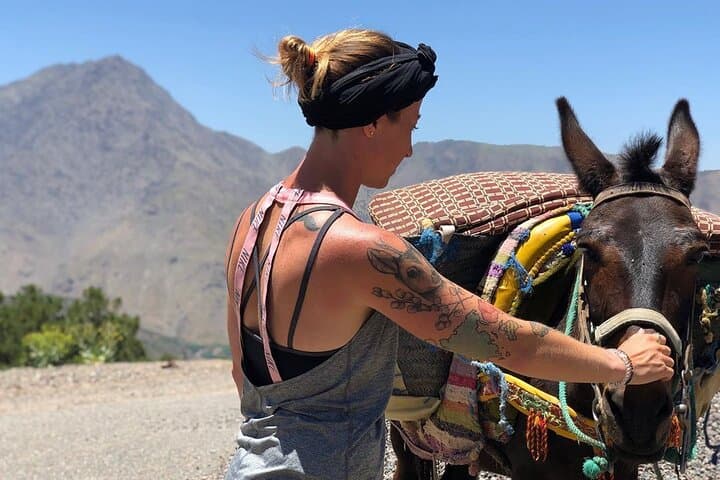 Imlil to Ouirgane 2-Day Atlas Traverse: Berber Villages, Waterfalls & Juniper Forests