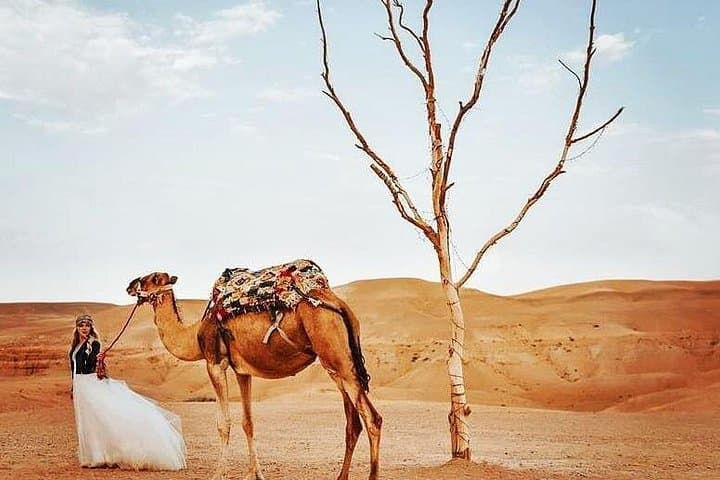 Luxury Day Trip to Agafay Desert & Atlas Mountains with Camel Ride from Marrakech photo 4