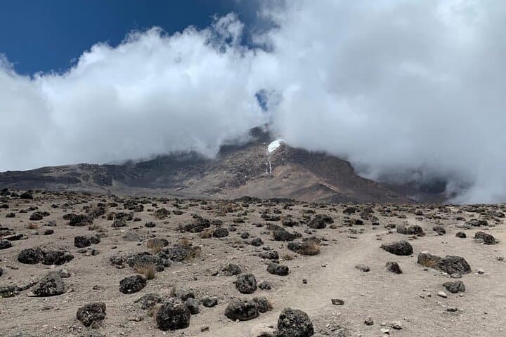 6-Day Kilimanjaro Climb: Marangu Route (Mandara → Uhuru Peak) photo 5