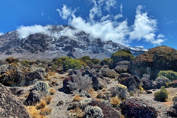 6-Day Kilimanjaro Climb: Marangu Route (Mandara → Uhuru Peak) photo 6