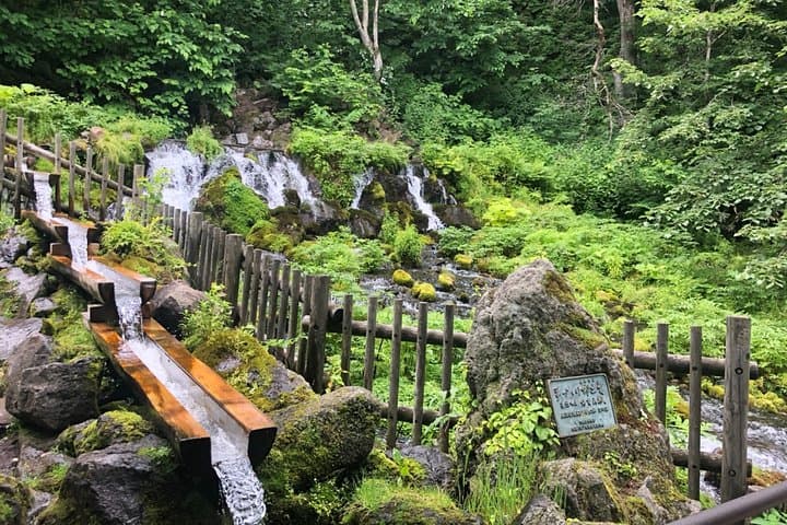 Cape Kamui & Sutto Oysters: Private Day Trip from Sapporo photo 3