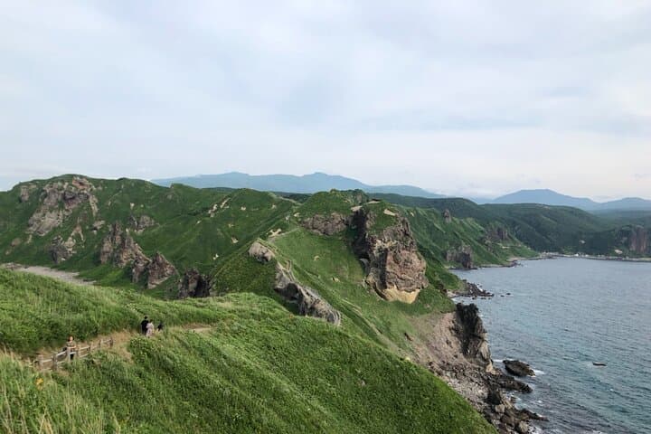 Cape Kamui & Sutto Oysters: Private Day Trip from Sapporo photo 6