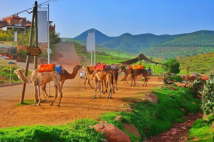 Escaping Marrakech: Ourika Valley Berber Villages & Waterfalls Day Trip photo 2