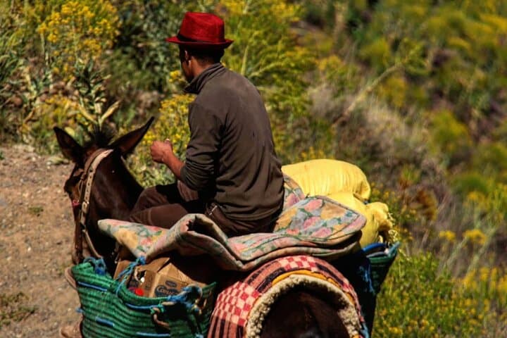 Two-Day Imnane Valley Trek: Imlane, Tacheddirt & Berber Villages from Marrakech photo 4
