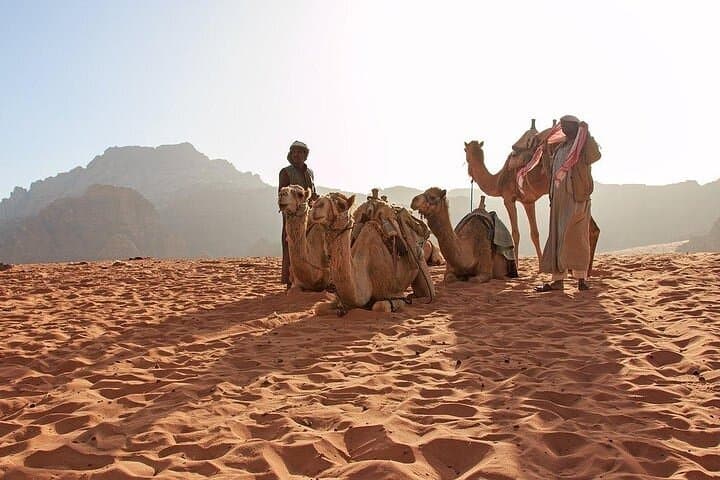 8-Day Jordan Adventure: Petra, Wadi Rum & Red Sea Escape photo 6