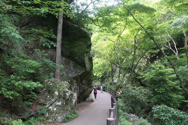 Minoh Waterfall & Minoh Park Nature Walk — Day Trip from Osaka photo 5