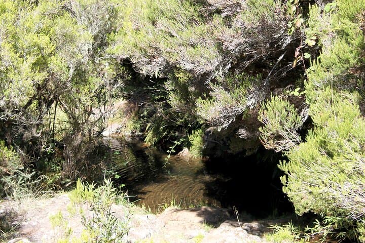 Madeira Lakes Hike: Levada do Alecrim to Lagoa do Vento and Risco Waterfall photo 2