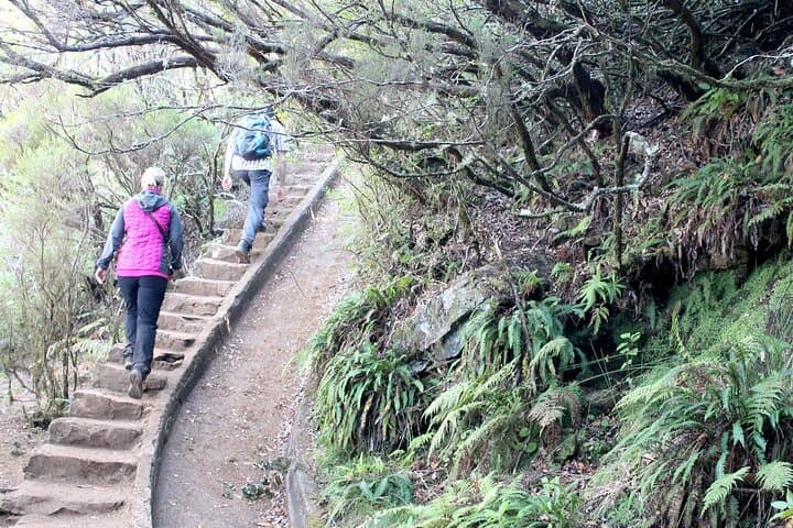 Madeira Lakes Hike: Levada do Alecrim to Lagoa do Vento and Risco Waterfall photo 4
