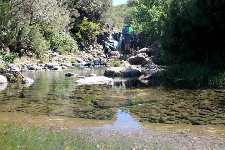 Madeira Lakes Hike: Levada do Alecrim to Lagoa do Vento and Risco Waterfall photo 5