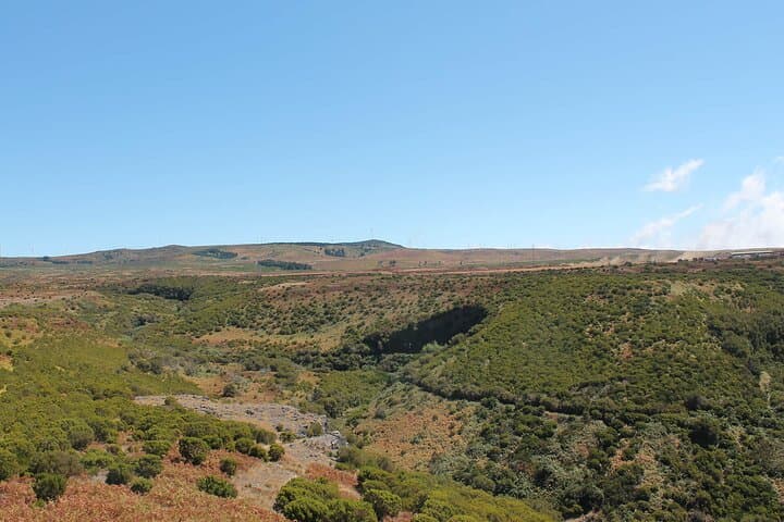 Madeira Lakes Hike: Levada do Alecrim to Lagoa do Vento and Risco Waterfall photo 6