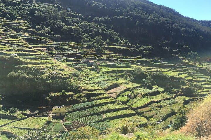 Maroços Levada Walk: Scenic 6km Stretch Through Machico Valley