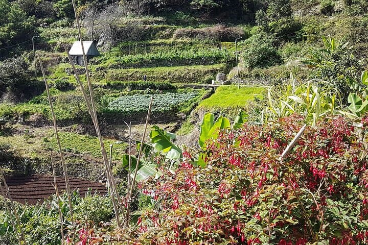 Maroços Levada Walk: Scenic 6km Stretch Through Machico Valley photo 4