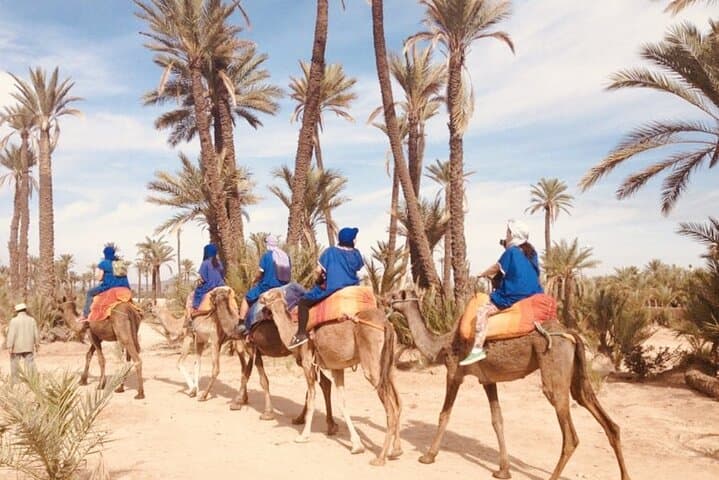 Ourika Valley Day Trip: Berber Villages & Setti Fatma Waterfalls from Marrakech photo 2