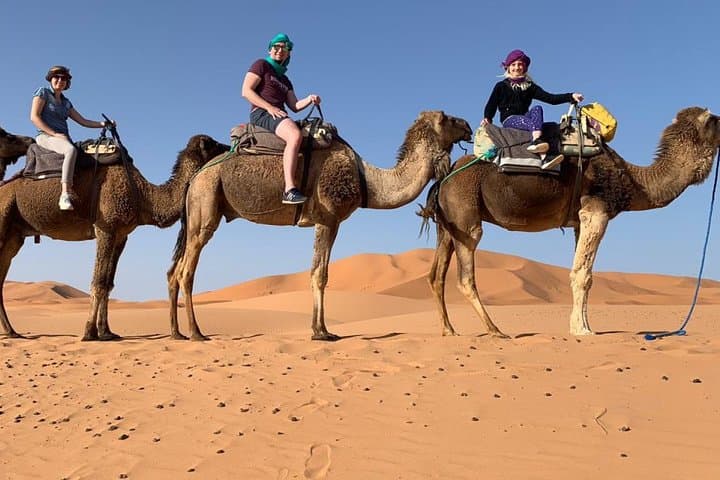 Marrakech Palmeraie Camel Ride: Palm Grove Camel Excursion & Mint Tea photo 2