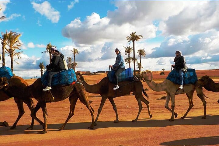 Marrakech Palmeraie Camel Ride: Palm Grove Camel Excursion & Mint Tea photo 5
