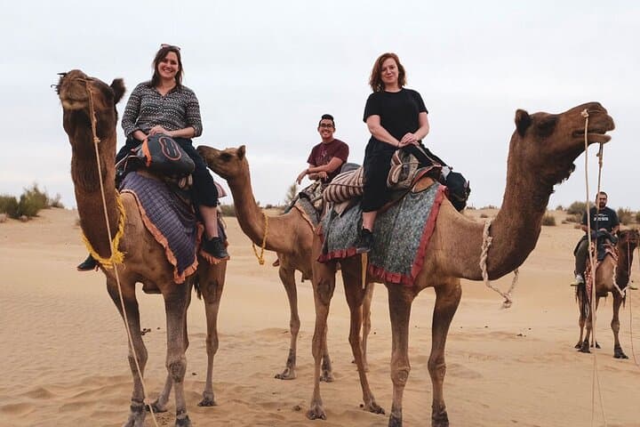 Marrakech Palmeraie Camel Ride: Palm Grove Camel Excursion & Mint Tea photo 6