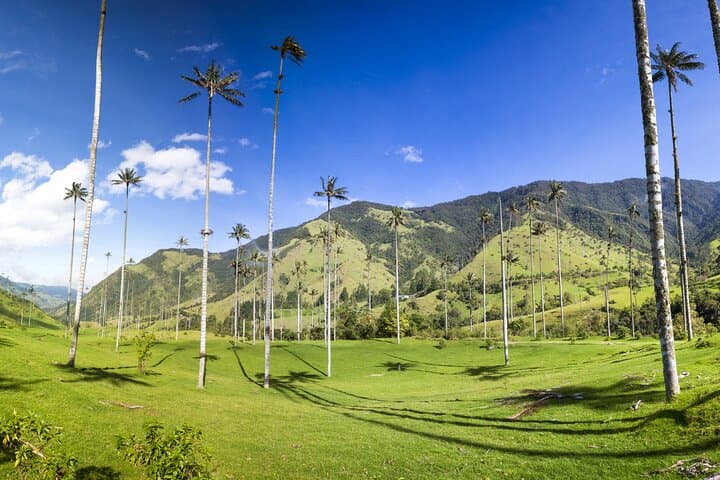 Full-Day Cocora Valley, Salento & Filandia Coffee Town Tour from Pereira photo 6
