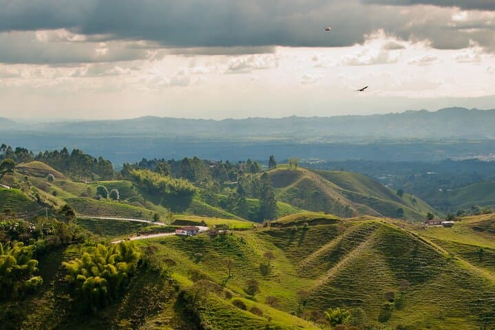 Cocora Valley & Salento: Full-Day Coffee Farm Tour from Pereira photo 5
