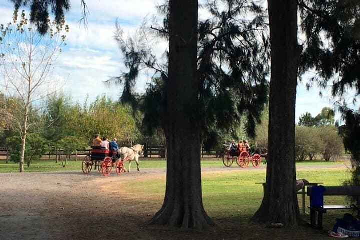 Estancia Day in Buenos Aires: Gaucho Ranch Experience near Capilla del Señor photo 2