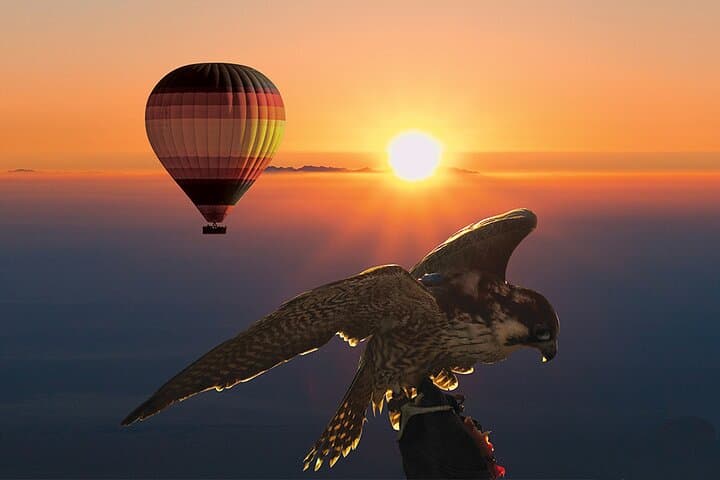 Desert Sunrise Hot Air Balloon Over Dubai Conservation Reserve