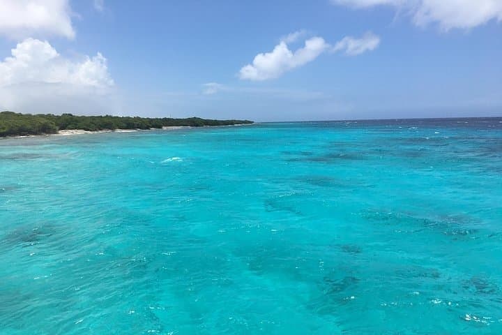 Eco-Friendly Private Hike & Snorkel at Aruba's Mangroves and Mangel Halto Reef photo 6