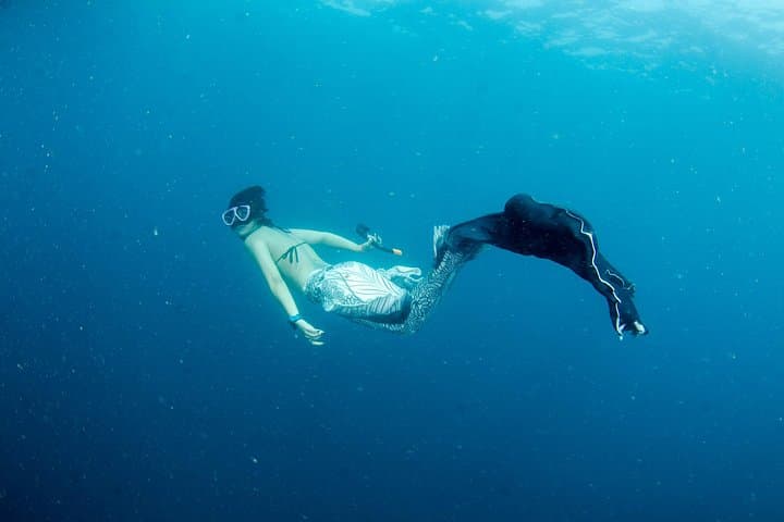 Advanced Freediver Course from Koh Chang — PADI 16–24m Freediving photo 6