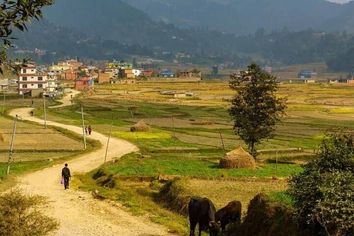 Namobuddha to Panauti Day Hike: Spiritual Stupas, Village Streets & Ridge Trails photo 5