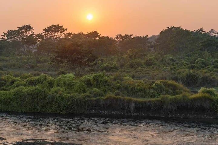 Chitwan National Park 3-Day Jungle Safari: Wildlife, River Boating & Tharu Culture photo 2