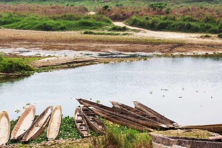 Chitwan National Park 3-Day Jungle Safari: Wildlife, River Boating & Tharu Culture photo 4