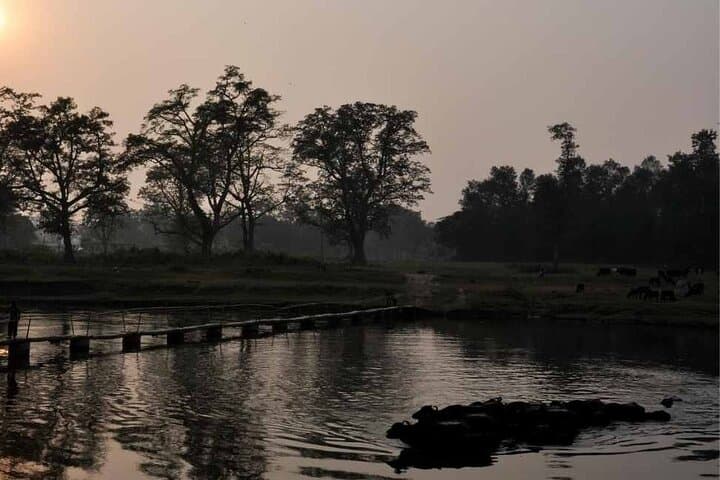 Chitwan National Park 3-Day Jungle Safari: Wildlife, River Boating & Tharu Culture photo 6