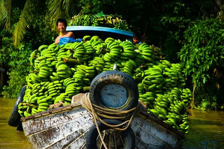 Mekong Delta Wildlife by Vespa: 2-Day Tour from Ho Chi Minh photo 3