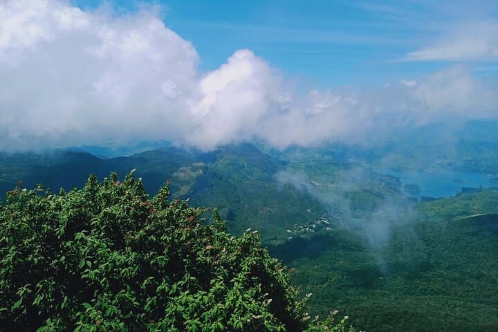 Essence of Nature: 15-Day Sri Lanka Wildlife & Wilderness Tour