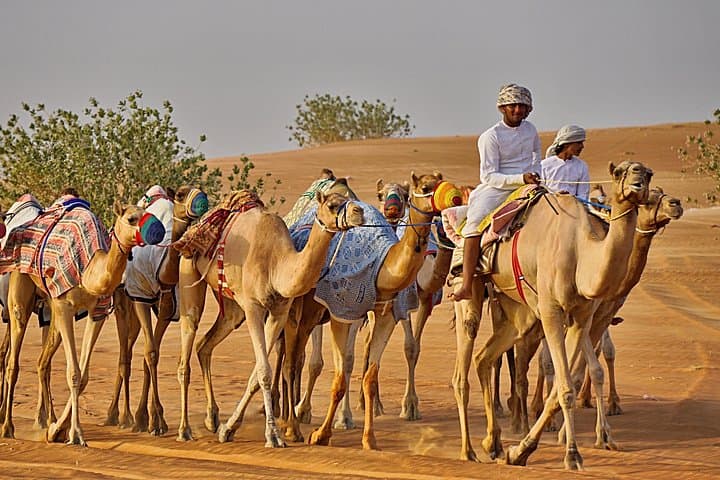 Camel Safari in Wahiba Sands: Bediyah Bedouin Rides & Desert Camp photo 2