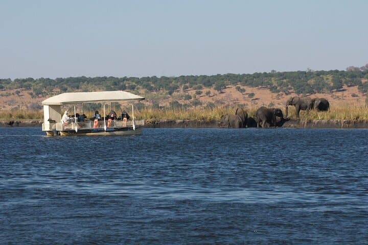 Chobe Day Trip: Game Drive & Boat Cruise on the Chobe River photo 3