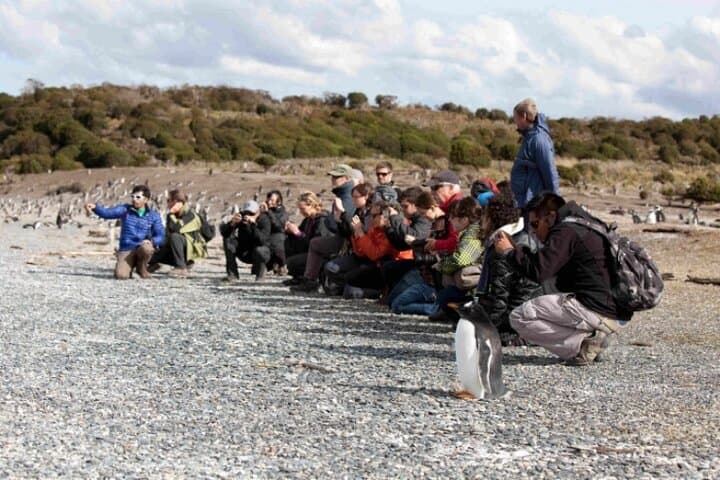 Alongside Penguins — Ushuaia's Martillo Island Walk and Beagle Channel Sail photo 2