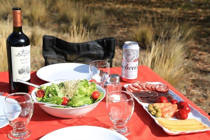 Half-Day Fly Fishing on the Limay River — Bariloche Patagonia photo 4