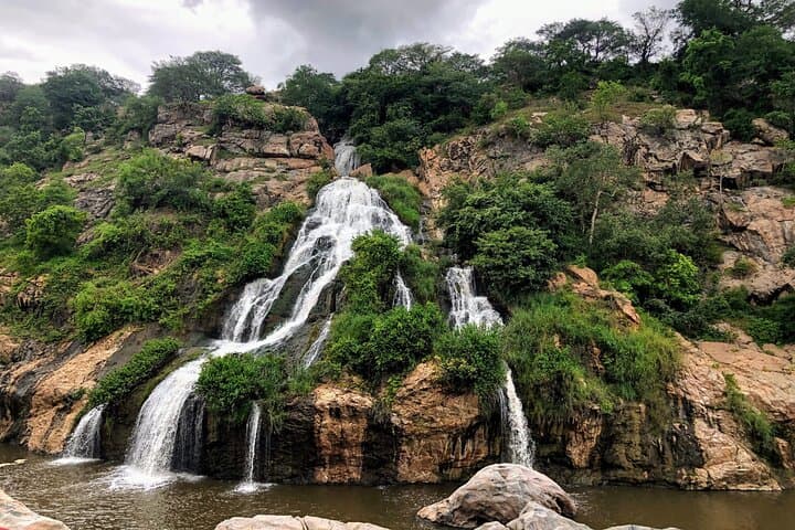 Half-Day Nature Trails of Mysore: Brindavan Gardens, KRS Dam & Waterfalls photo 5