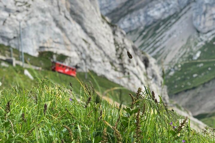 Mt Pilatus & Lake Lucerne: Private Day Tour with Dragon Cable Car photo 3