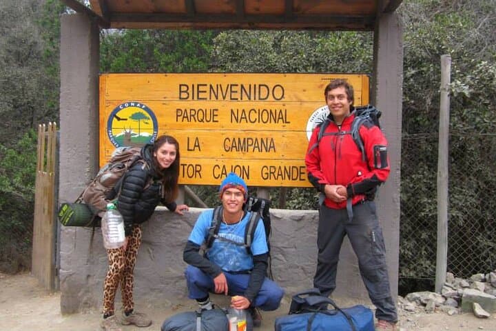 La Campana Full-Day Trek: Chile's Centennial Palms & Wildlife from Santiago