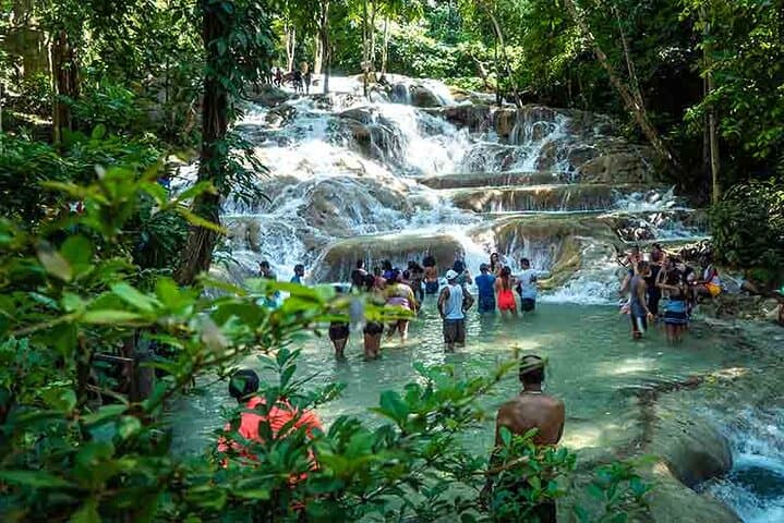 Climb Dunn's River Falls and Swim the Luminous Lagoon: A Private Jamaica Day Tour