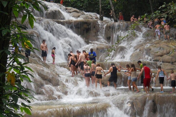 Climb Dunn's River Falls and Swim the Luminous Lagoon: A Private Jamaica Day Tour photo 6