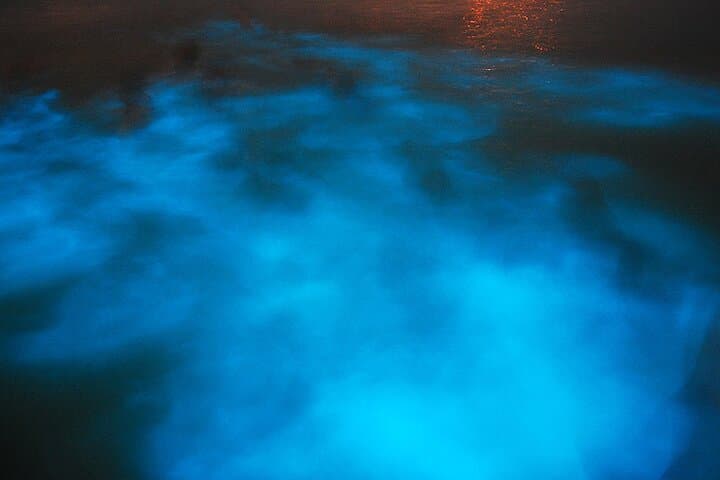 Luminous Lagoon Night Cruise — Glowing Waters Near Montego Bay photo 4