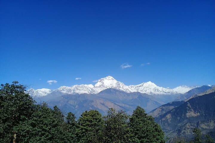 Poon Hill 5-Day Trek from Kathmandu: Sunrise Over the Annapurnas photo 4