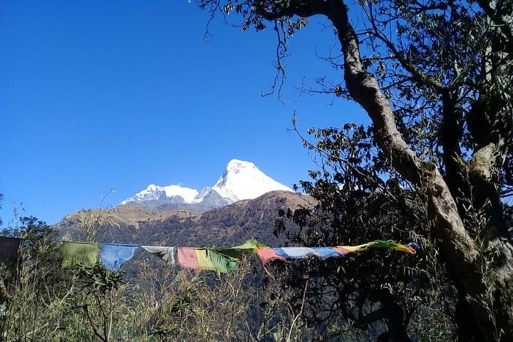 Sunrise on Poon Hill: 4-Day Trek from Pokhara photo 4