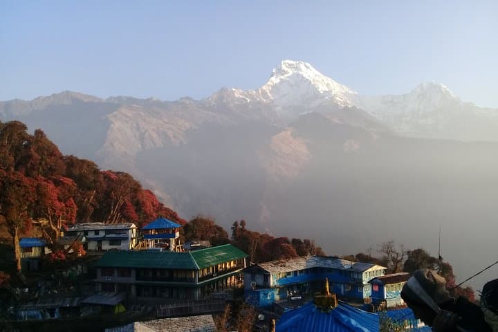 Sunrise on Poon Hill: 4-Day Trek from Pokhara photo 6