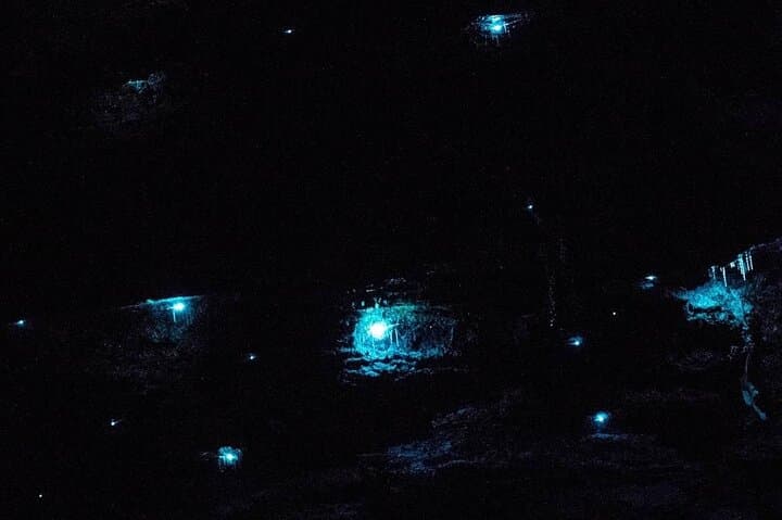 Blue Mountains Glow Worm Night Hike to Cave & Waterfall photo 4