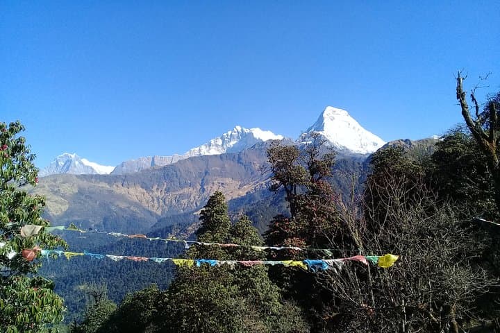 Poon Hill Trek: 5-Day Sunrise Trek from Kathmandu to Ghorepani photo 4