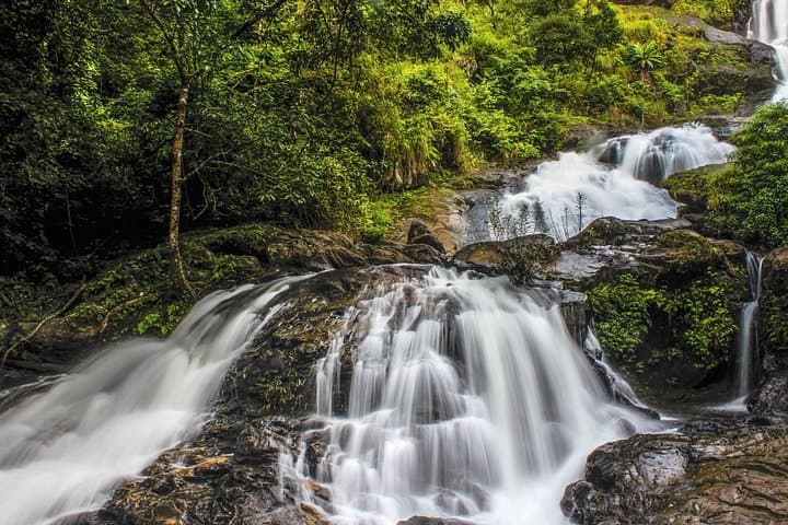 Full-Day Coorg Highlights Tour: Madikeri Fort, Raja's Seat & Abbey Falls photo 3