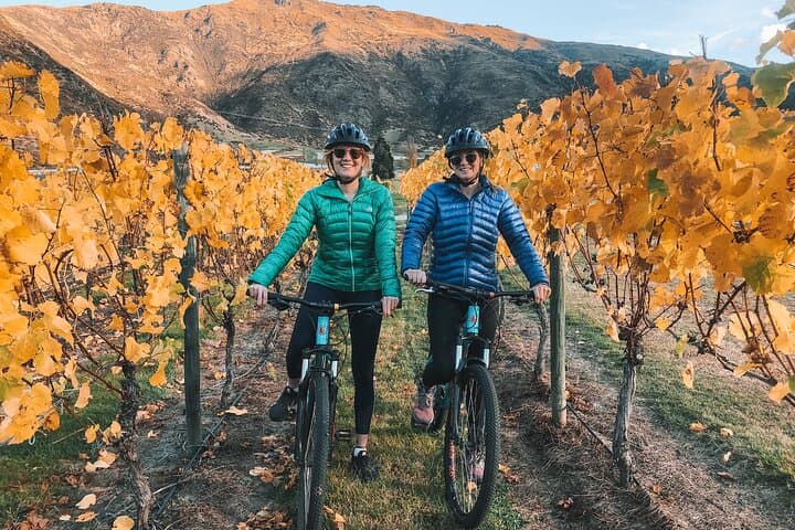 Bike the Wineries: Full-Day Arrowtown to Gibbston Cycle & Wine Tasting